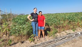 Unicafes-AL inicia nova fase de estruturação do Projeto Quintais Produtivos