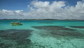 Confira roteiros imperdíveis pelas praias de Alagoas