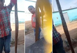 Vídeo: Crianças alagoanas viralizam após matar e brincar com jibóia de 2 m