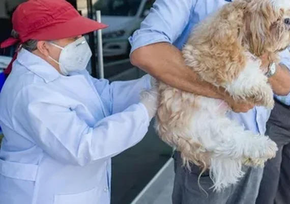 Maceió dá início à campanha de vacinação antirrábica 2025