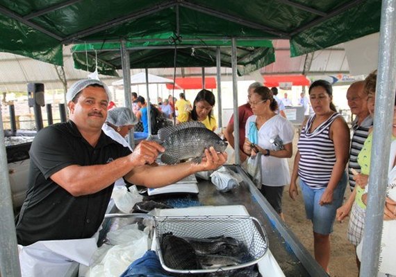 Pescados oferecidos na Feira do Peixe Vivo incluem de tilápia a jacaré