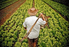 Aplicações do BNB aumentam  17,6% no primeiro semestre