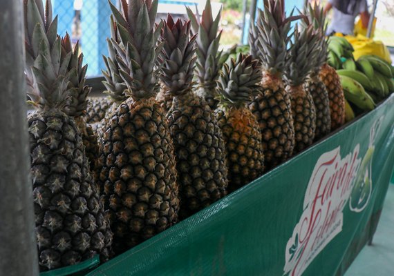 Emater anuncia encerramento do cadastro de unidades recebedoras do PAA 2022