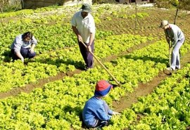 Governador celebra contratos de Chamada Pública da Agricultura Familiar nesta quinta-feira, na sede da AMA