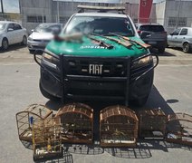 PM-AL apreende animais silvestres e armas em operação no Litoral Norte