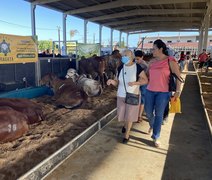 Expoagro-AL prepara edição focada no fortalecimento da pecuária