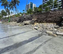 Línguas sujas de menor porte invadem a praia de Ponta Verde