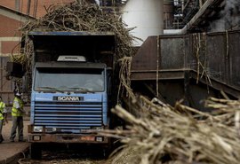 Safra 19/20 segue com 16,8 mi de toneladas de cana processadas