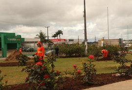 Prefeitura realiza serviço de paisagismo nos trevos de acesso a Arapiraca