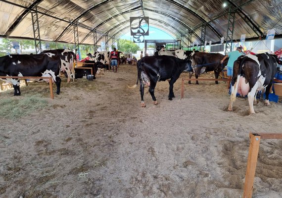 Secretaria de Agricultura prepara programação para a 40ª Expo Bacia Leiteira