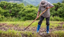 Pagamento do Garantia-Safra 2021/2022 beneficia mais de 15 mil agricultores de Alagoas