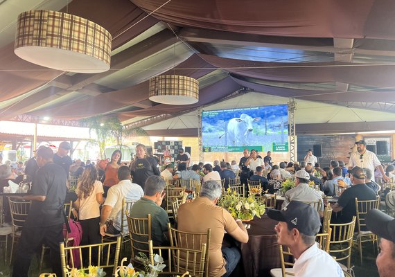 Média de R$23 mil por touro destaca safra do Leilão Varrela e Santa Nazaré