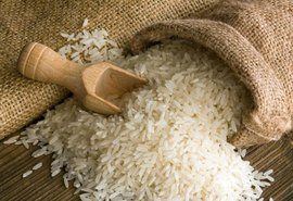 EUA puxam exportações brasileiras de arroz
