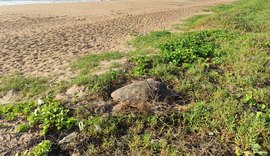 Entidades denunciam ao MPF crime ambiental e alteração no curso do Rio Jacarecica, em Maceió