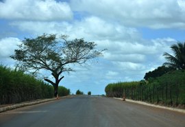 Programa Alagoas de Ponta a Ponta segue em Junqueiro com pavimentação asfáltica