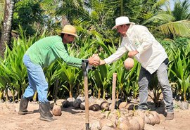 Coopaiba processa 6 milhões de frutos e amplia agroinstrústria em Alagoas