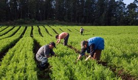 Governo Federal lança linha de microcrédito de R$ 300 milhões para agricultura familiar