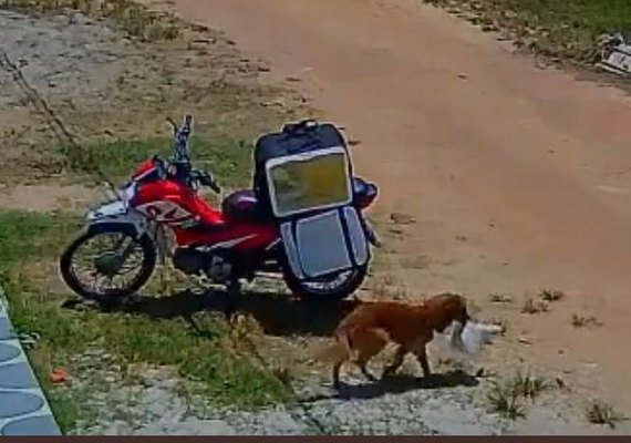 Vídeo: cachorro 'rouba' marmita de entregador e viraliza nas redes sociais