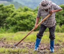 Câmara aprova uso do Fundo Social para apoiar agricultores em calamidades