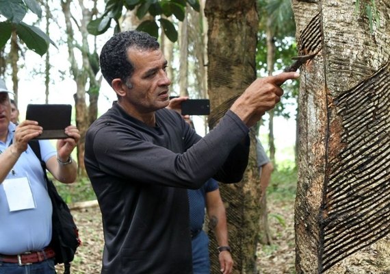 Cooperativas lideram discussões sobre desenvolvimento sustentável na jornada até a COP30