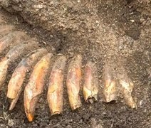 Sepultamento pré-histórico de 5.000 anos é encontrado sob cemitério romano
