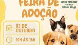 Feira de adoção reúne cães e gatos neste sábado no Maceió Shopping
