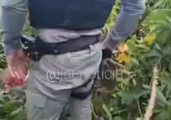 Cadáver ou cochilo? Homem é encontrado 'desacordado' em plantação e mobiliza PM-AL