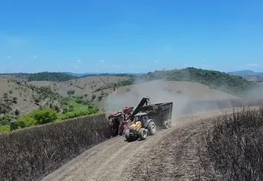 Usina em AL importa máquinas da Índia para enfrentar falta de mão de obra
