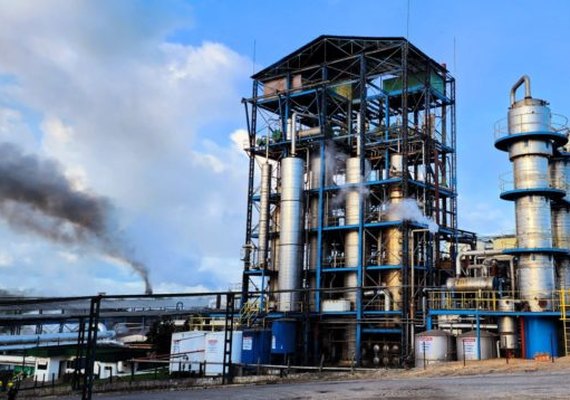 Cooperativa Pindorama celebra 69 anos de desenvolvimento econômico e cultural