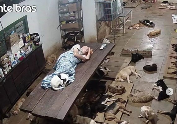 Abrigo de animais de Marechal Deodoro faz vaquinha após imagem do dono dormindo em mesa viralizar; entenda