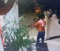 Homem invade prédio e furta árvore de Natal da portaria