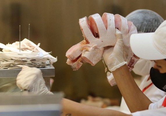 Semana do Pescado incentiva temporada de consumo no segundo semestre