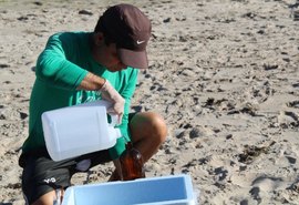 Amostras indicam águas livres de contaminação