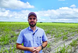 Covid: Asplana defende subvenção da cana para minimizar prejuízos