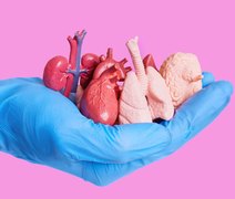 Inédito! Cientistas criam “miniórgãos” em laboratório