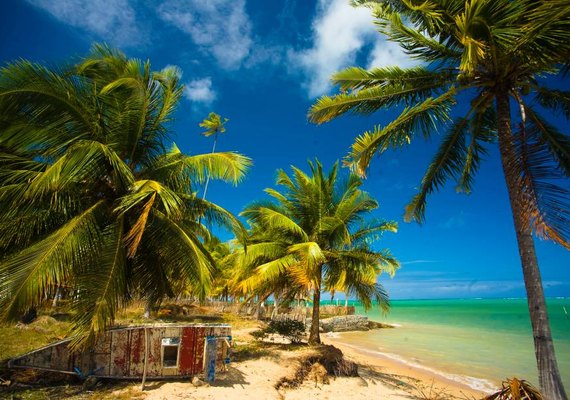 Área da Praia do Patacho terá novo ordenamento