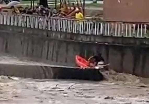 Homem viraliza após salvar gatinho em meio a enchente no município de Quebrangulo
