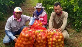 Projeto Lagos do São Francisco leva capacitação a agricultores