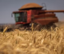 Produção global de alimentos deve crescer cerca de 14% até 2034, diz relatório