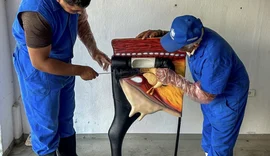 Seagri abre inscrições para nova turma do Curso de Inseminação em Batalha