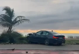 Motorista invade calçada e derruba coqueiro na orla de Maceió