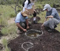 Pesquisadores encontram pegadas de dinossauros com mais de 100 milhões de anos em Roraima