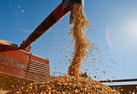 Brasil pode bater recorde de safra com 354,8 milhões de toneladas de grãos