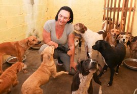 A luta para manter o maior abrigo de animais de todo o norte nordeste