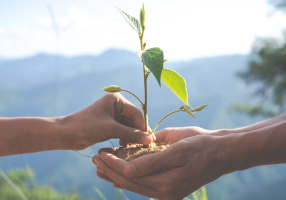 Ministério do Turismo apoia chamamento público para projetos de conservação ambiental