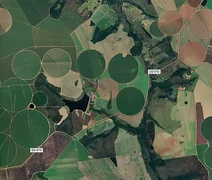 Cerrado brasileiro perdeu 28% da vegetação nativa em 40 anos