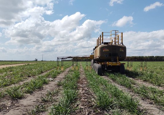 Vinhaça concentrada amplia produtividade de cana