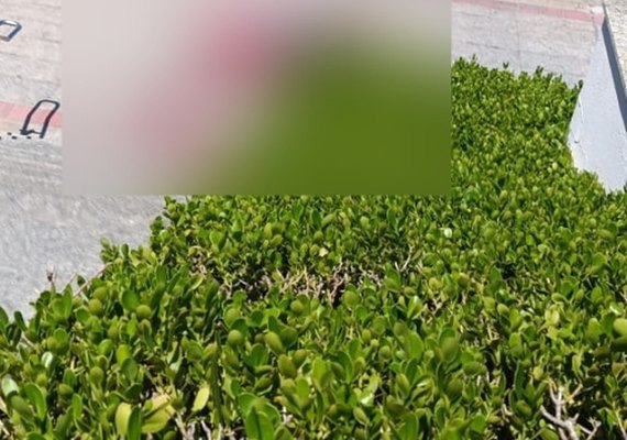 Vídeo: Suspeito morre durante tentativa de assalto à van na Avenida Gustavo Paiva