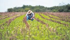 Negócio Certo Rural beneficia produtores de São Luiz do Quitunde