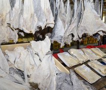 Consumidor deve ficar atento à qualidade do bacalhau na Semana Santa